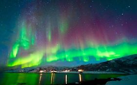 In The Heart Of The Aurora Borealis - Tromso City
