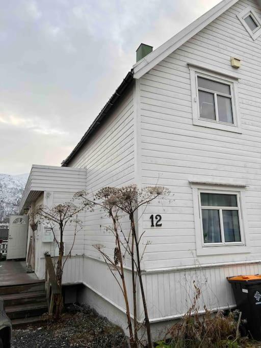 In The Heart Of The Aurora Borealis - Tromso City Exterior photo